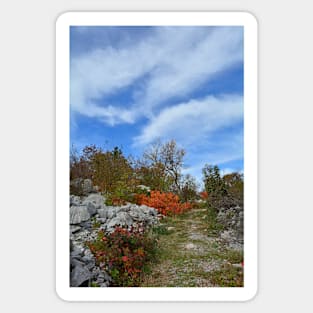 Autumn Carso Near Aurisina Sticker